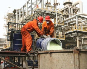 海量精選高清圖片庫 四川天采科技有限責任公司代理服務(wù)全面解析