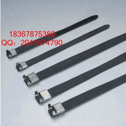 廠家供應南通市不銹鋼扎帶不銹鋼電纜標牌304材質4.6 250mm型號市場批發